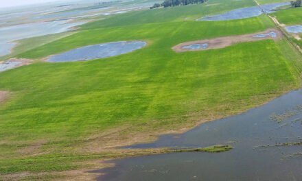 Prorrogan la Emergencia Agropecuaria hasta fin de año