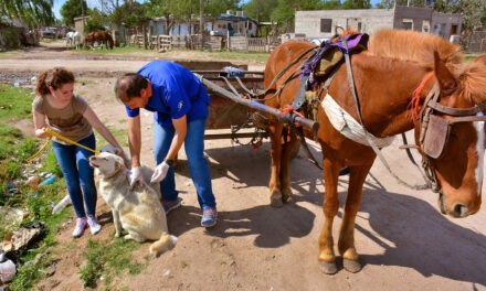 Se está realizando una intervención integral en barrio Oncativo