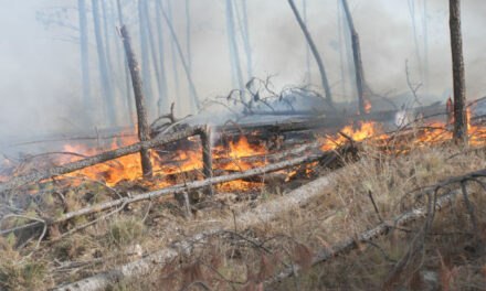 Hasta mañana es EXTREMO el riesgo de incendio en la provincia