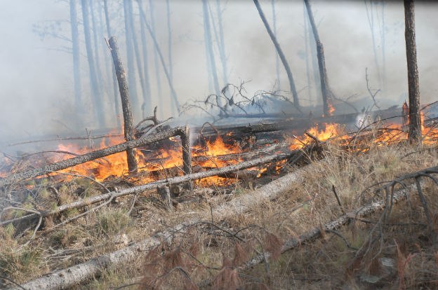 Hasta mañana es EXTREMO el riesgo de incendio en la provincia