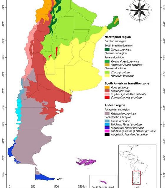 Investigadores de Exactas presentan un nuevo mapa biogeográfico de Argentina