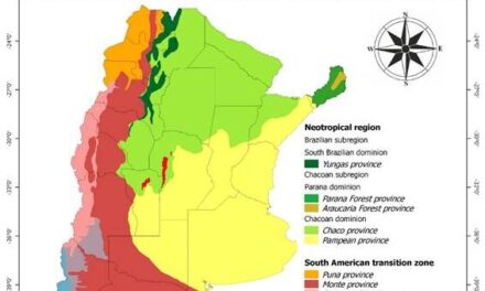 Investigadores de Exactas presentan un nuevo mapa biogeográfico de Argentina