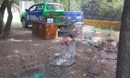 Policía Ambiental secuestró 72 aves en Río Cuarto