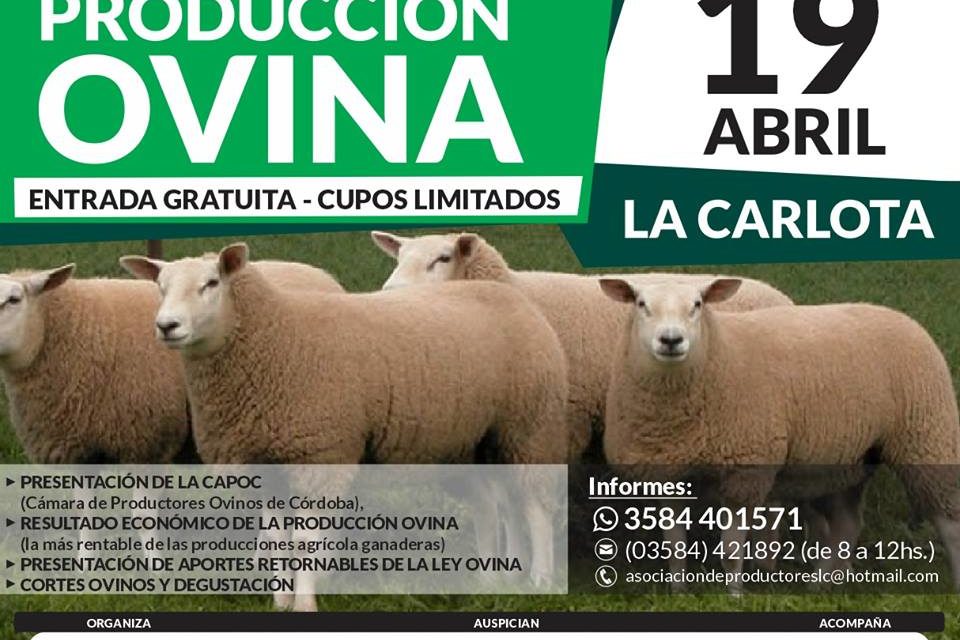 Jornada de producción ovina en La Carlota