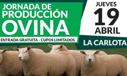 Jornada de producción ovina en La Carlota
