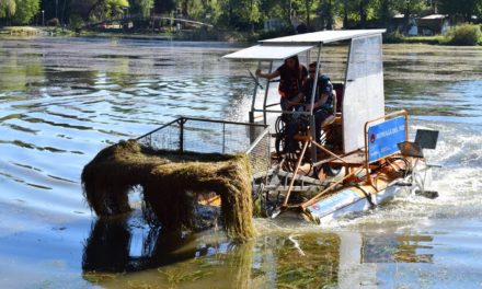 Río Cuarto: Avanza la limpieza del lago Villa Dalcar