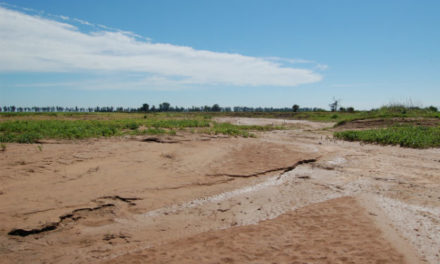 Sequía: la Comisión de Emergencia presentó su segundo pedido