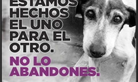 Campaña sobre Tenencia Responsable de Mascotas