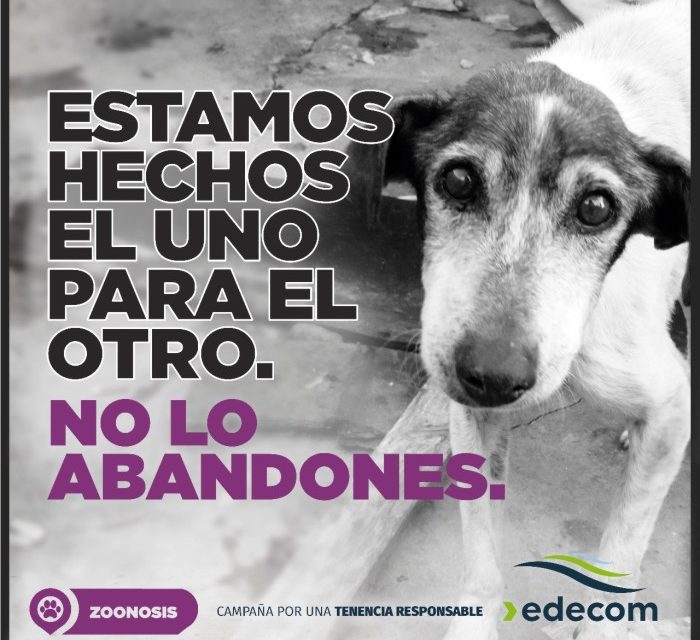 Campaña sobre Tenencia Responsable de Mascotas