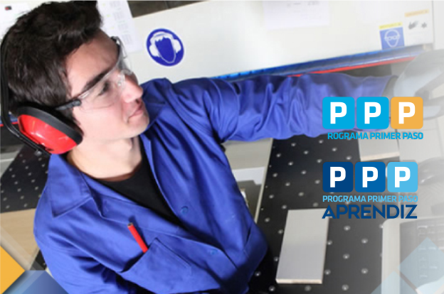 Nueva edición PPP y PPP Aprendiz otorga 15.000 oportunidades de trabajo