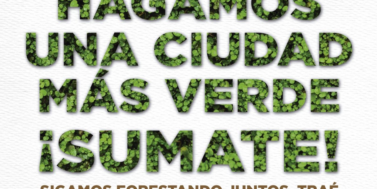 Hagamos una ciudad más verde