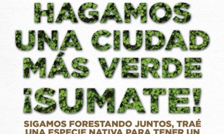 Hagamos una ciudad más verde