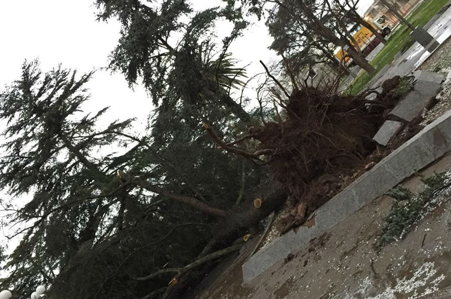 Asisten a vecinos de Sampacho afectados por temporal