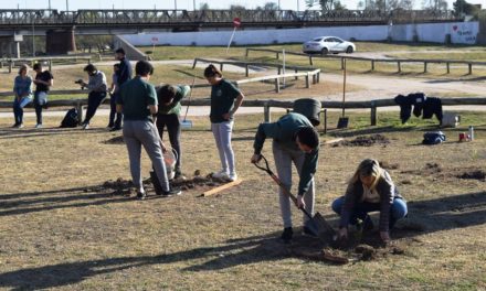 Alumnos de Río Cuarto plantaron especies por el Día del Árbol