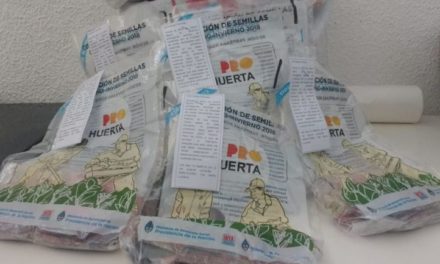 Adelia María: con el apoyo del INTA, el municipio impulsa Huertas Familiares
