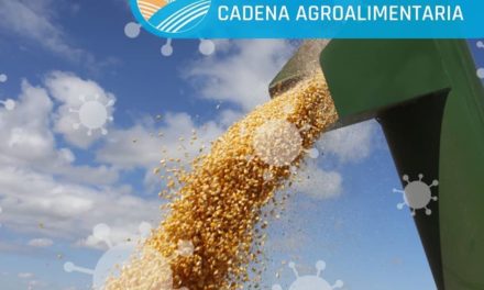 Covid-19: se conformó comité para protocolos en la cadena agroalimentaria