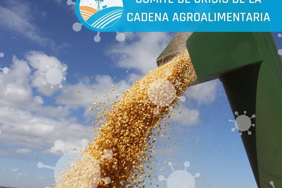 Covid-19: se conformó comité para protocolos en la cadena agroalimentaria