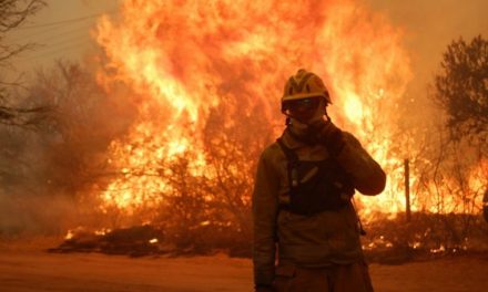 Denuncian que los incendios son intencionales y con fines económicos