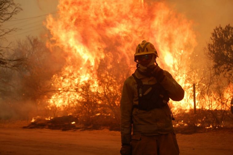 Denuncian que los incendios son intencionales y con fines económicos