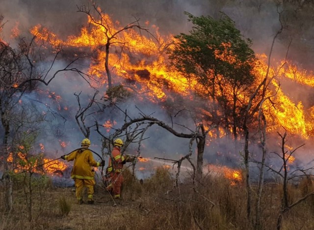 MÁS DE 200 BOMBEROS COMBATEN INCENDIOS EN LAS ALBAHACAS, VILLA EL CHACAY Y ALPA CORRAL