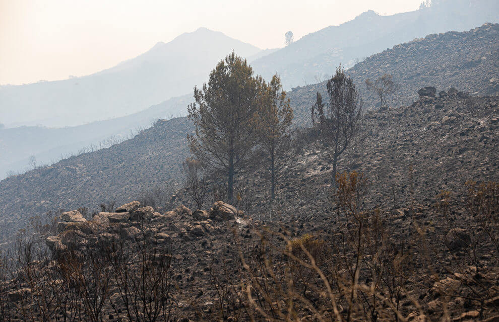 SE SUMAN OTROS 60 BRIGADISTAS DE NACIÓN A LA LUCHA CONTRA EL FUEGO