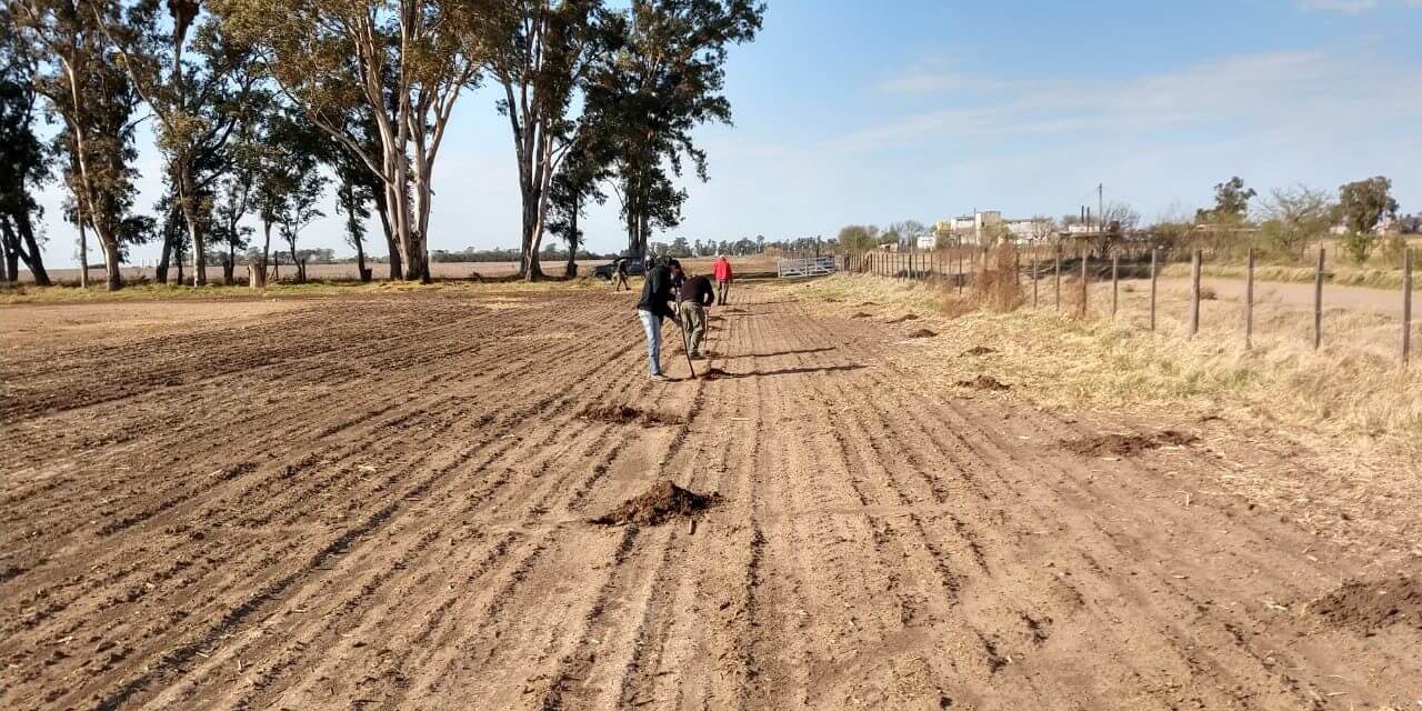 Zonas Periurbanas: Cortinas Forestales para cuatro localidades