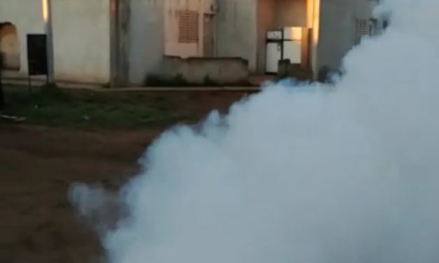 Comenzó la fumigación contra el mosquito del Dengue