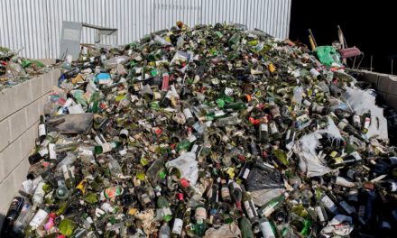 Bell Ville: recicló casi 13 toneladas de vidrio