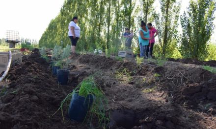 Coronel Moldes: preparan terreno para huerta agroecológica