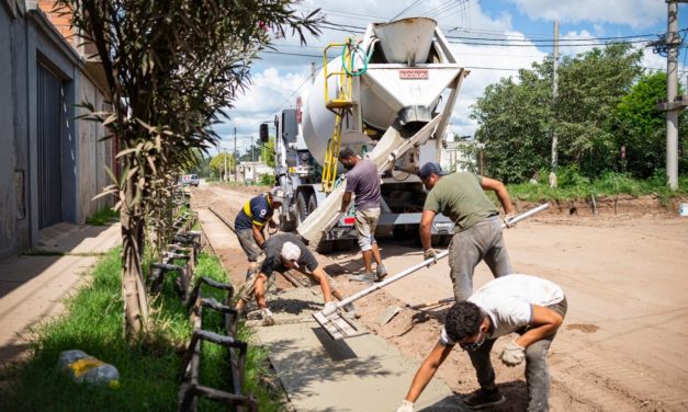 Avanza la obra de cordón cuneta en el Sur