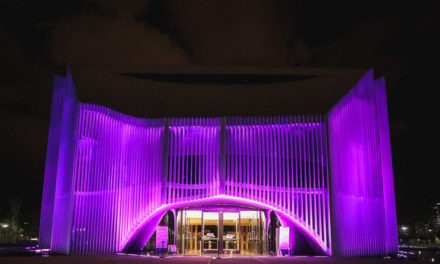 Mes de la Mujer: la Legislatura se ilumina de violeta