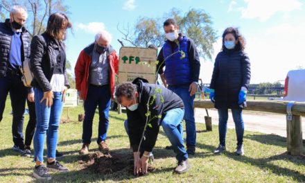 Forestando Córdoba: 1000 nuevos árboles para la Costanera sur de Río Cuarto
