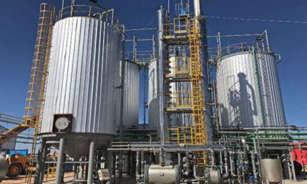 Biocombustibles: la Provincia reitera el pedido por la prórroga de la ley