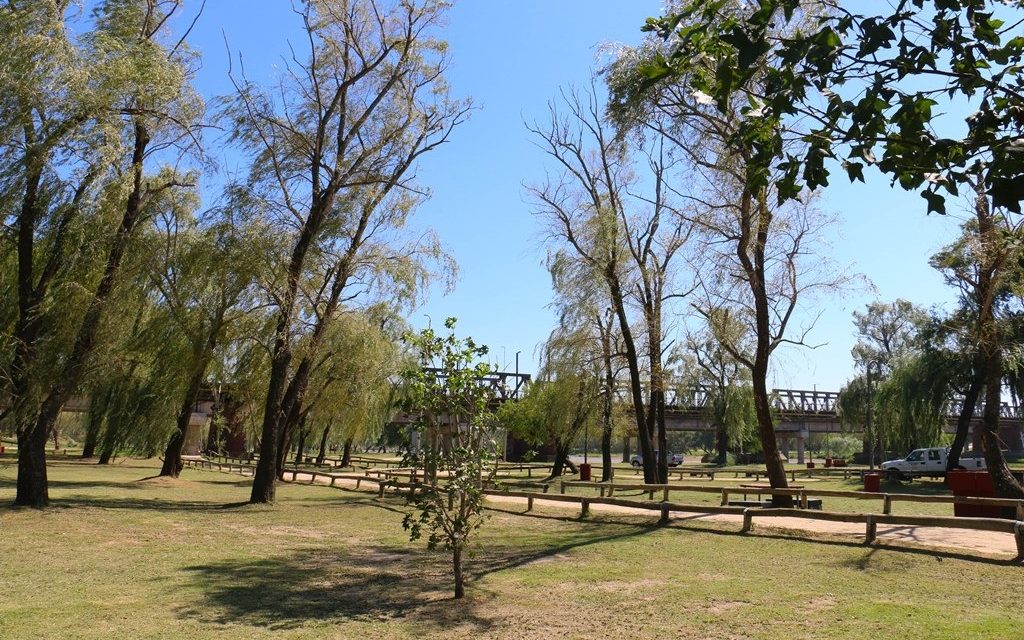 Se abre la convocatoria para plantar 1000 árboles en la Costanera sur