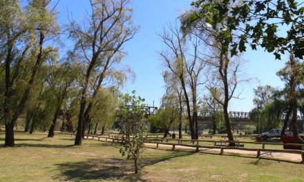 Se abre la convocatoria para plantar 1000 árboles en la Costanera sur