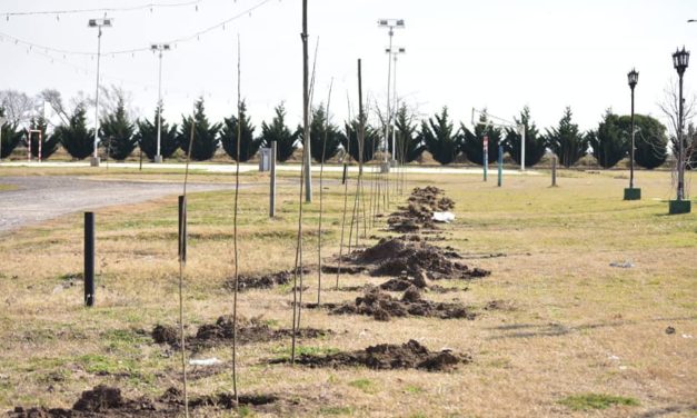 La Cautiva: continua la campaña de forestación