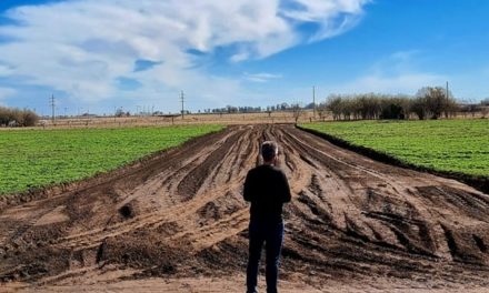 Canals: 44 familias comenzarán a construir su hogar