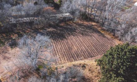 Adelia María: Visita al Vivero Agroforestal en el Día del Árbol