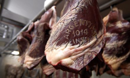 Las exportaciones de carne crecieron casi 25% en septiembre