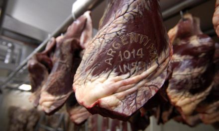 El Gobierno reabrió finalmente la exportación de carne vacuna a China