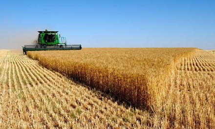 El Gobierno busca aumentar los destinos de exportación del trigo