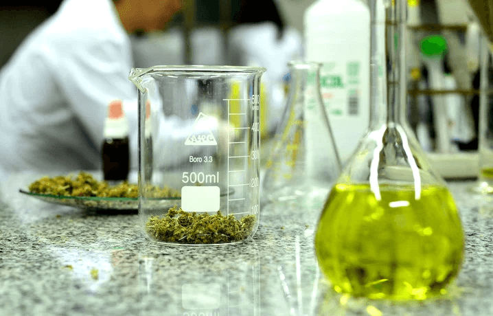 Cannabis: crean regulación para productos terapéuticos vegetales