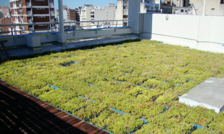 UNRC: Docentes de Agronomía y de Ingeniería proponen techos verdes para espacios públicos