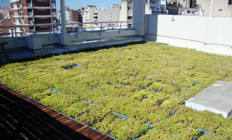 UNRC: Docentes de Agronomía y de Ingeniería proponen techos verdes para espacios públicos