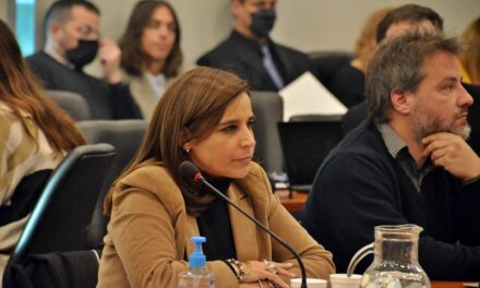 Soledad Carrizo pidió al Gobierno que informe sobre las licitaciones del gasoducto Néstor Kirchner