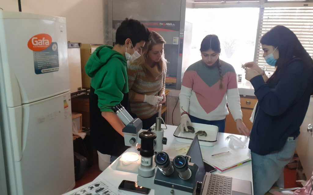 UNRC: Estudiantes de nivel secundario de Río Cuarto y la región experimentan en laboratorios de Exactas