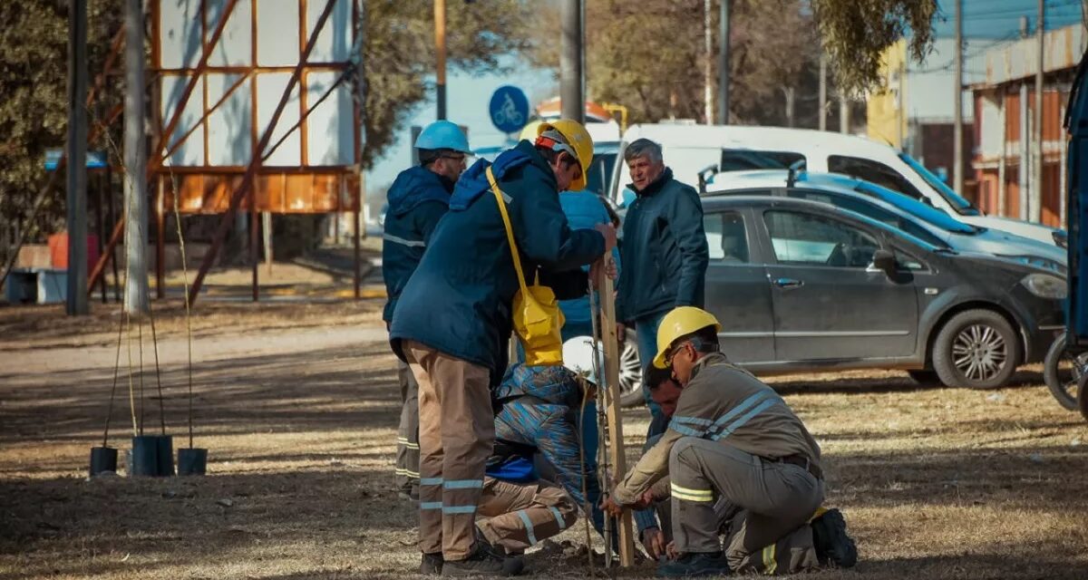 La Municipalidad y Fábrica Militar Río Tercero realizan forestación en la ciudad