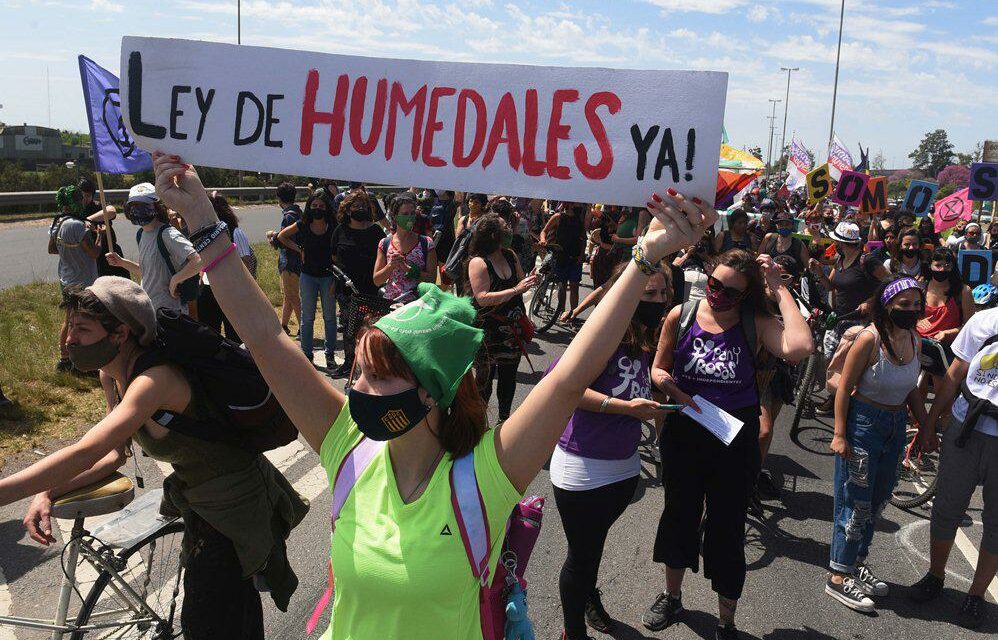 Diputados debate la ley de humedales y organizaciones reclamarán en el Congreso