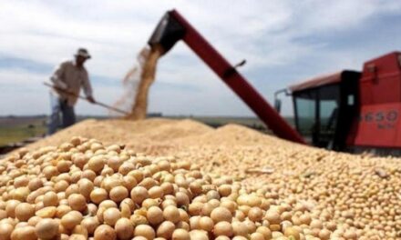 Ya se comercializaron más de 4 millones de toneladas de soja