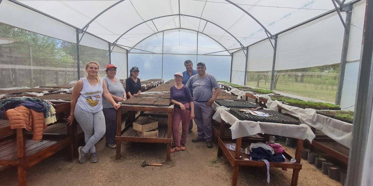 El Vivero Cruz del Sur de Buchardo continúa con su producción